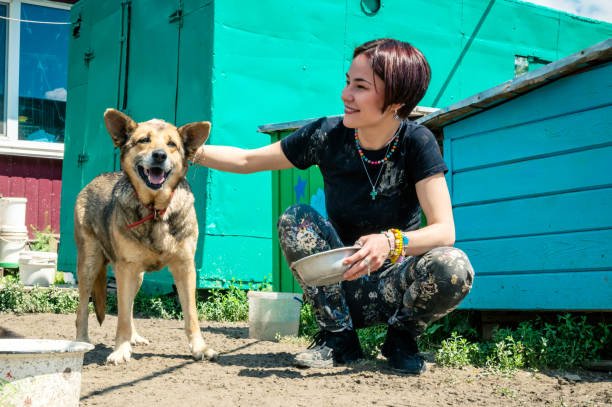 What is the largest dog rescue in the United States?